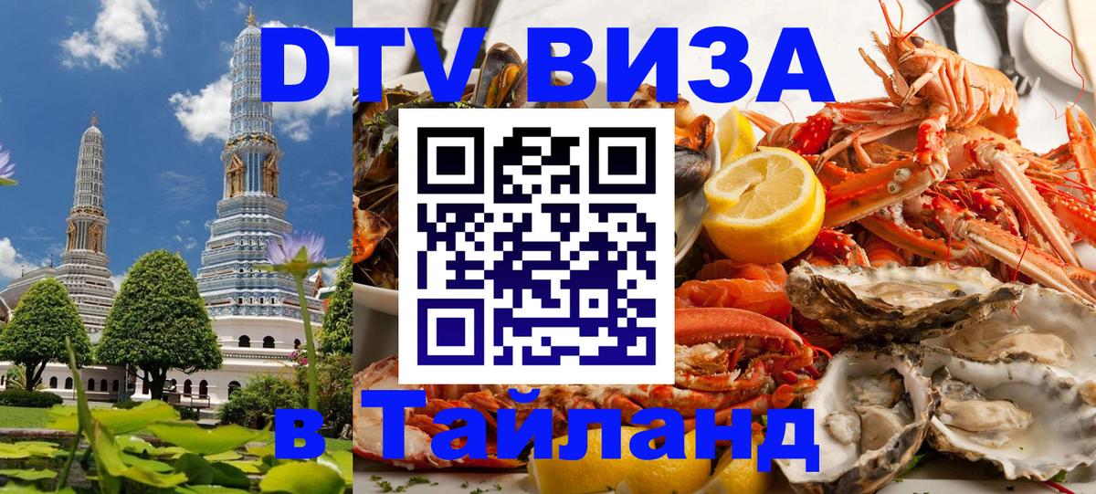 Оформление DTV визы под ключ: стоимость и тарифы, только загранпаспорт - Сургут 